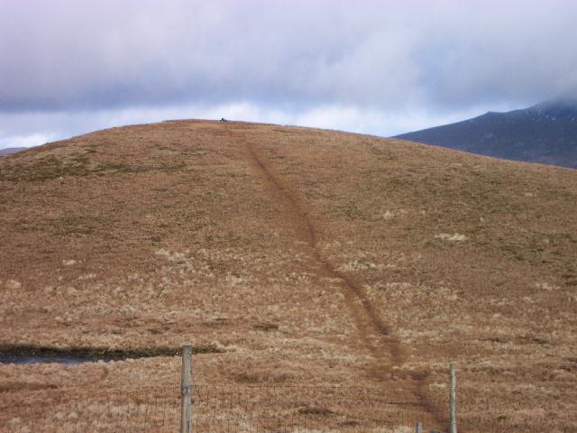 The eastern top of Lonscale Fell