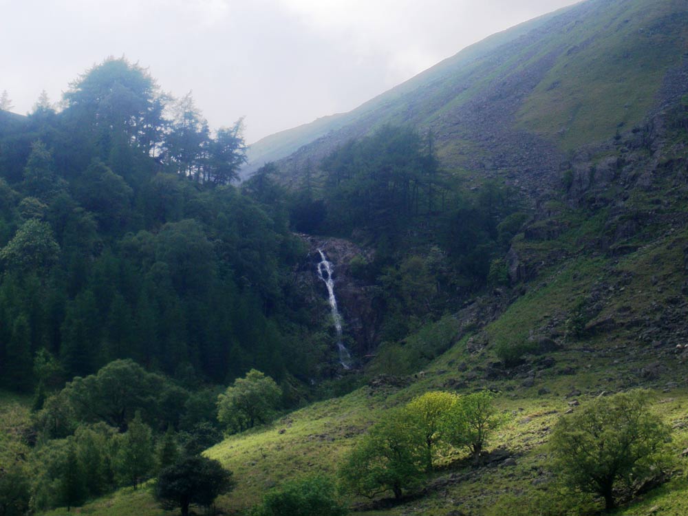 Taylorgill Force