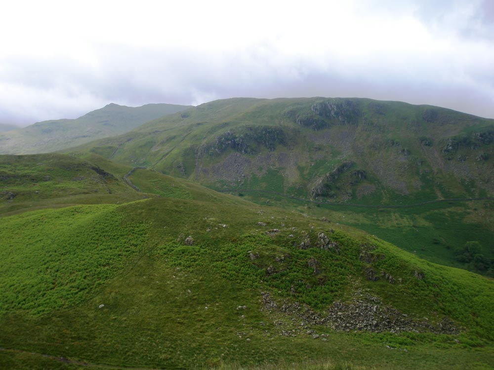 Birks from Arnison Crag