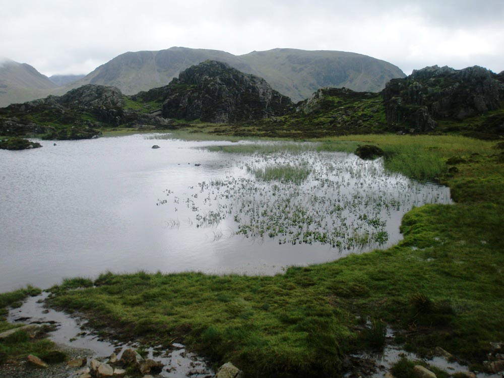 Innominate Tarn, Haystacks